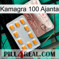 Kamagra 100 Ajanta new13